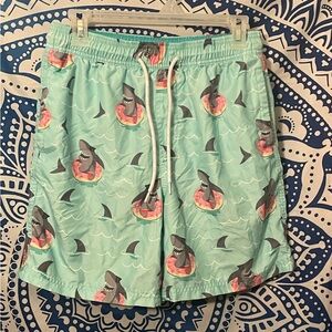 No Boundaries Aqua Swim Shorts
